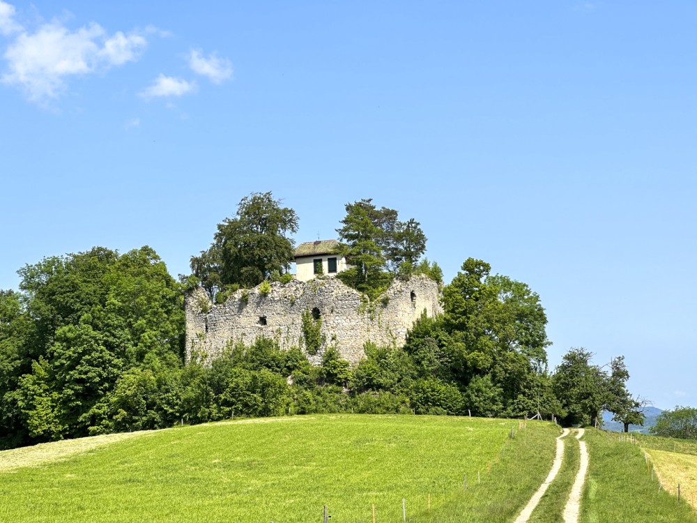 Von Burg zu Burg vor den Toren von Basel