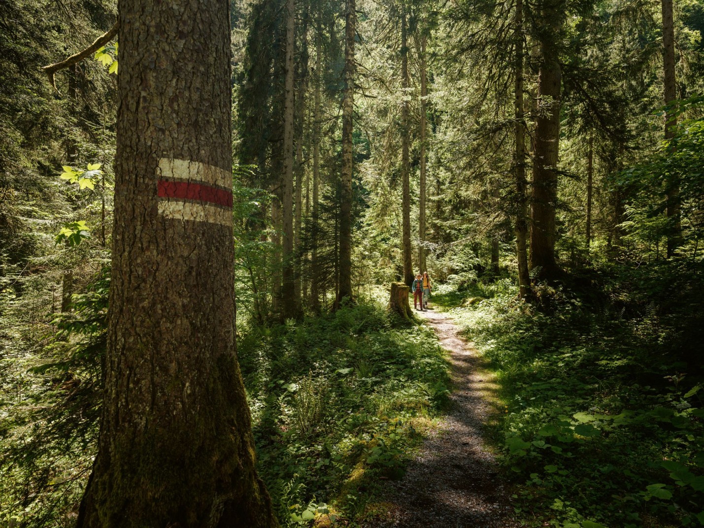 SWW_Spring_2024_1284