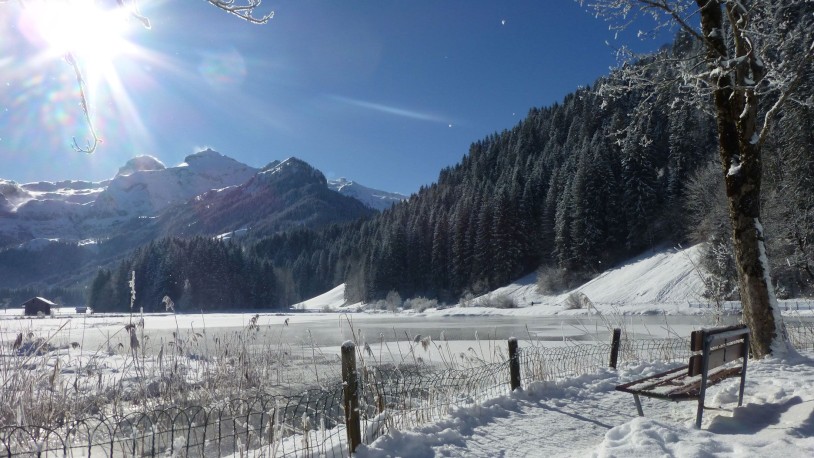 Post Foerderpreis Lenk 1872x1053