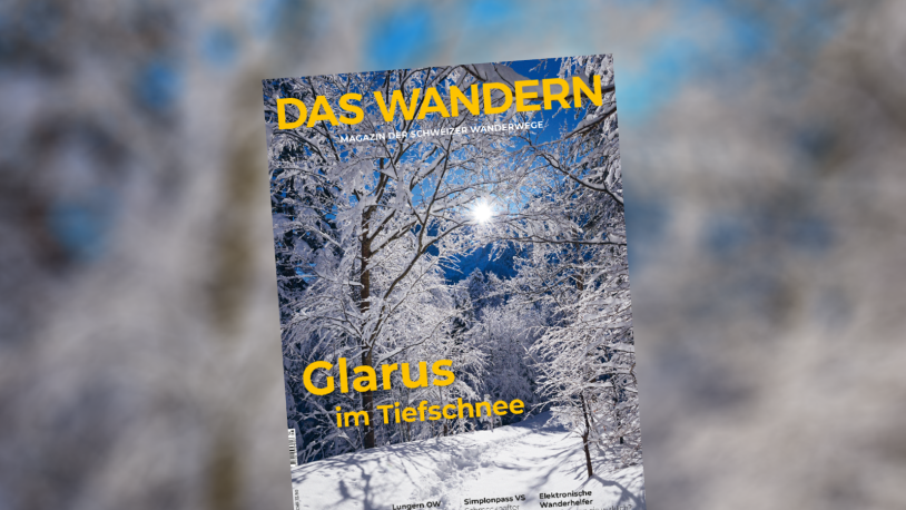 2025-6_Web_1600x600px_d (1)