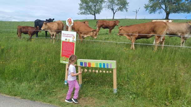 Erlebnisweg-Kuhglocken-Mutterkühe