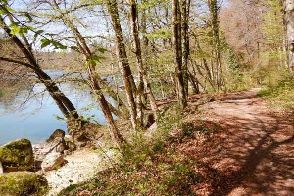 Am Ufer der naturbelassenen Reuss