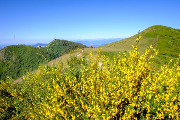 Kastanienselven und ein Grat im Malcantone