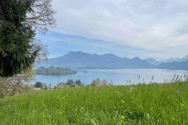 "Rund um den Kanton Luzern” Schlussetappe: Ennethorw - Luzern