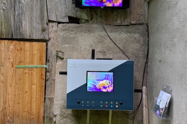 Sentier découverte de l’abeille mellifère, insecte forestier