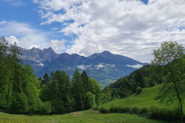 Halbtageswanderung Region Sarganserland/Werdenberg