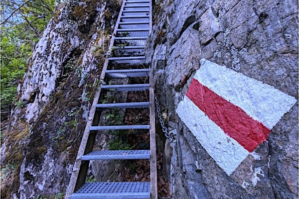 28. "Der Racleur von Au d'Arbignon" (VS)