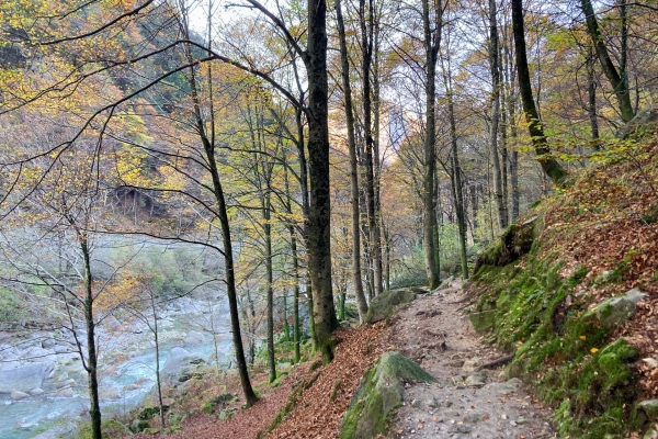 Sulle tracce dei frati neri nella Valle Verzasca