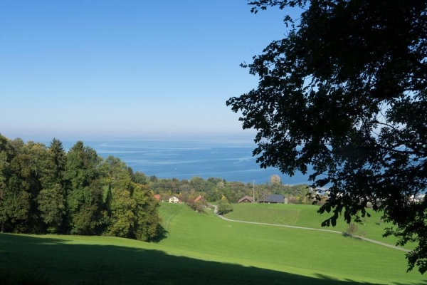 Rheintaler Höhenweg Teil 1 (****/T1)