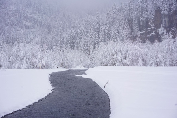 Schneeschuhwanderung durch das Kiental