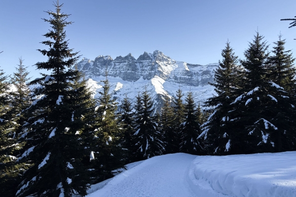 Viel Ruhe und Aussicht im Val d'Illiez
