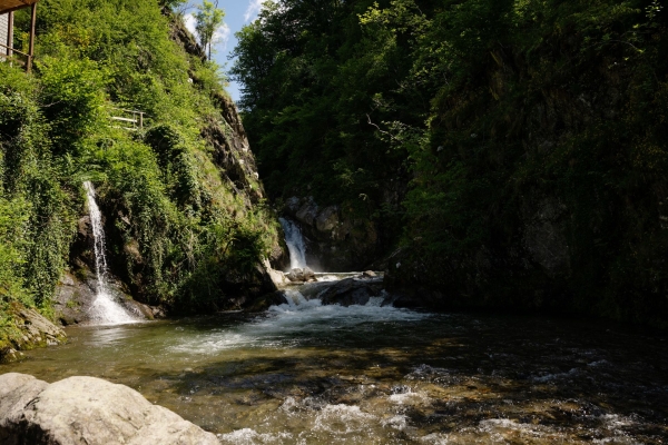 Un bosco rigoglioso e una cascata nel Malcantone