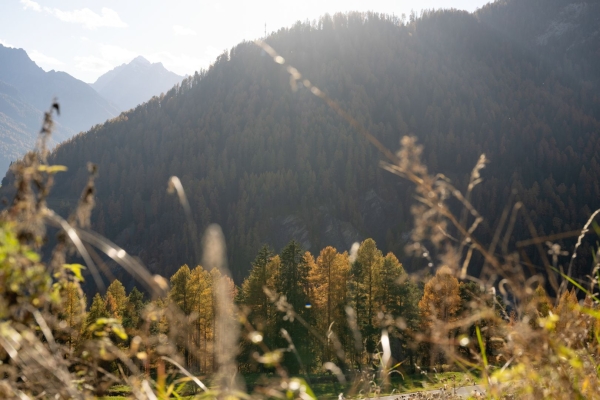Panoramaschleife oberhalb von Ramosch