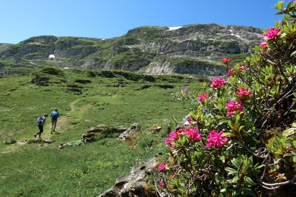 Durch die Karstlandschaft auf den Chäserrugg