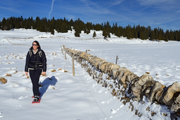 Rundweg auf dem Col du Marchairuz