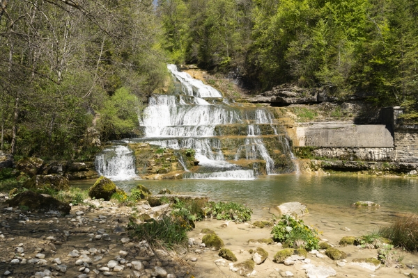 La mousse, reine des gorges de l’Orbe