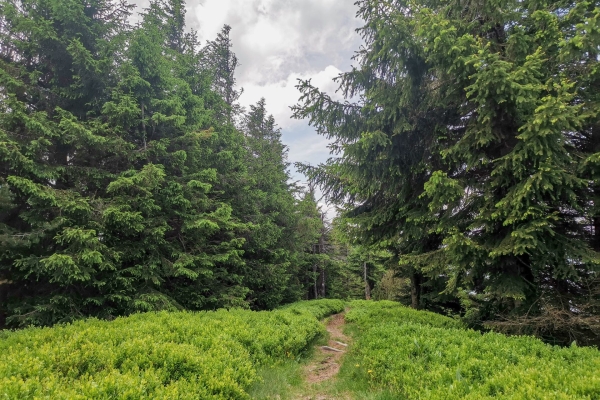 Gipfelglück im Entlebuch