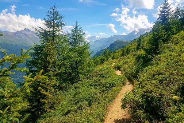 Panoramawanderung auf den Mont Rouge