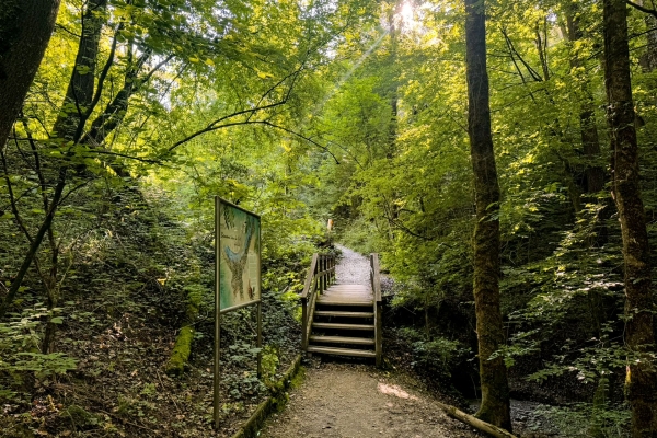 Spazierwanderung zwischen Natur und Stadt