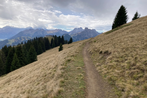 Höhenwanderung im Saanenland
