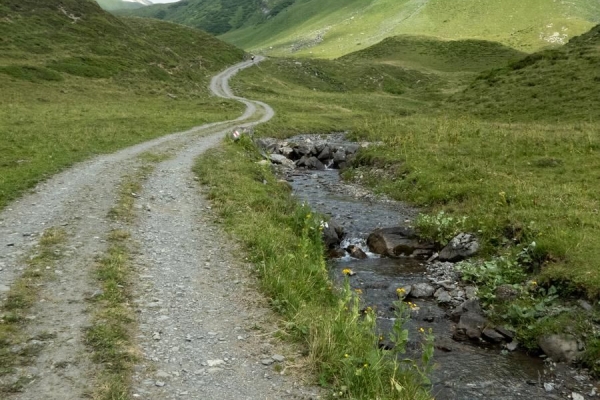 Ein Stück Via Alpina von der Fürenalp nach Attinghausen