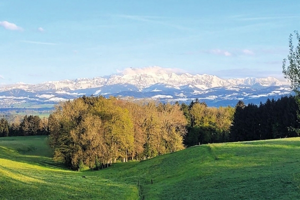 Gemeinsame Wanderung mit Blinden und sehbehinderten Menschen