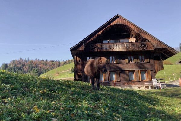 De la région du Napf à l’Entlebuch