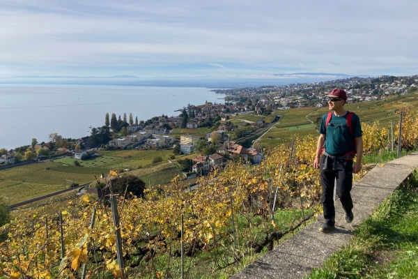 Étendue inspirante du lac Léman