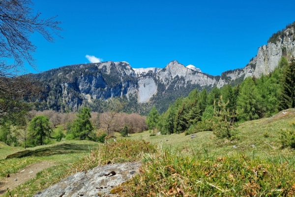 Unterwegs im Reich der Natur