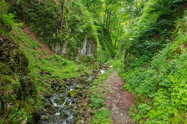 Rundwanderung über den Zwinglipass