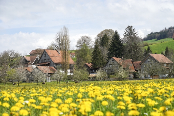 A travers des gorges sauvages en Suisse orientale