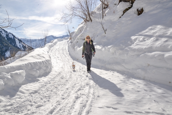 Calme hivernal et glisse pour la fin