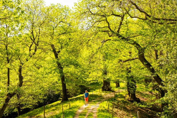 Voller Energie oberhalb von Cademario