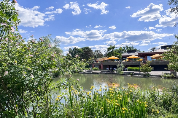 Frühlingspfad am St. Alban-Teich in voller Blüte