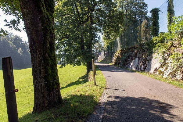 Gratiswurst Seewligrat Bürgenberg