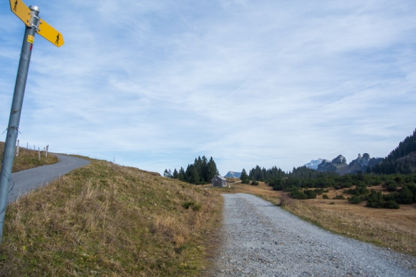 Moorelfen und Mürtschenstock