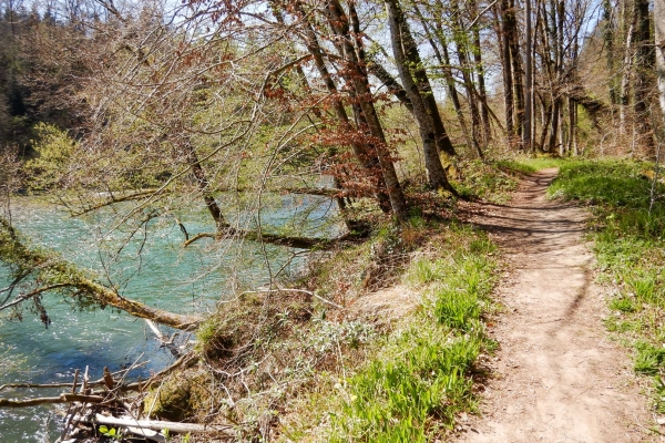 Am Ufer der naturbelassenen Reuss