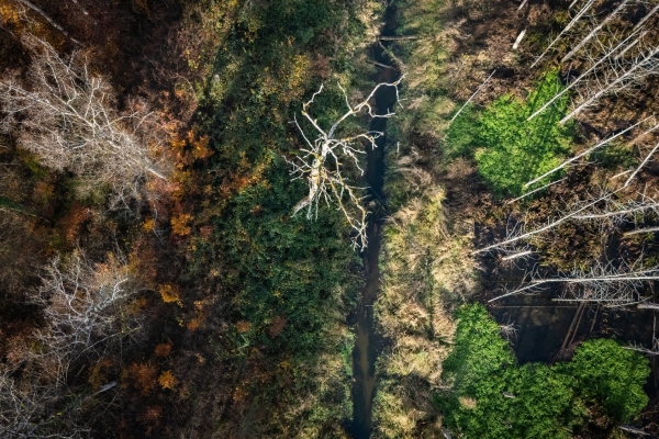 Themenwanderung Biber (*/T1) MIT Anmeldung