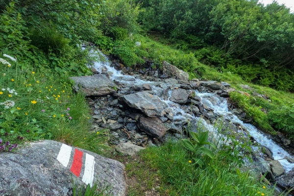 Aussichtsreiche Wanderung zum kristallklaren Wannisbortsee