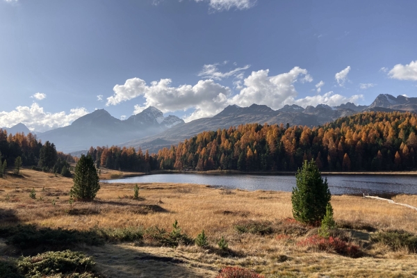 Seenwanderung mit leuchtenden Lärchen