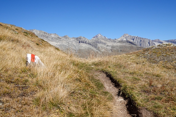 Suone und Panorama am Foggenhorn