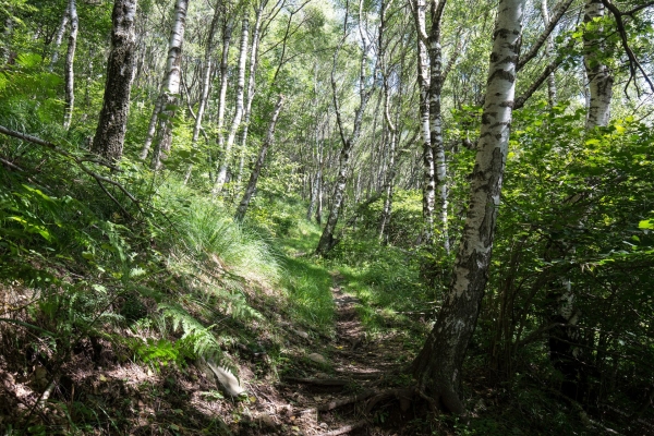 Schaukelerlebnis über dem Ceneritunnel
