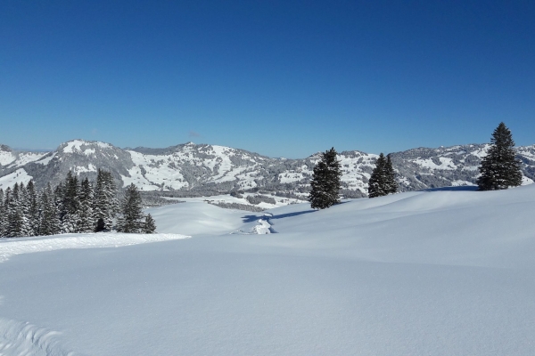 Auf dem Waldhüttli Schneeschuh-Trail über den Stoos SZ