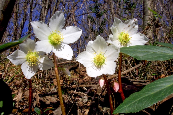 Escursione alla cima del Monte Caslano