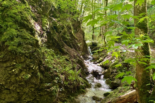 Durch Schluchten und über Kreten