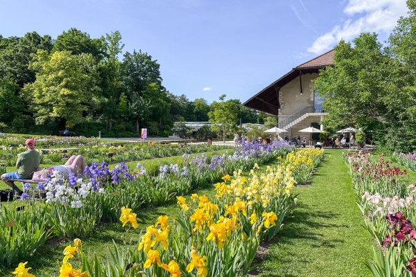 Frühlingspfad am St. Alban-Teich in voller Blüte
