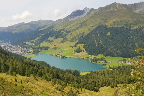 Seehorn – Aussichtsgipfel über Davos
