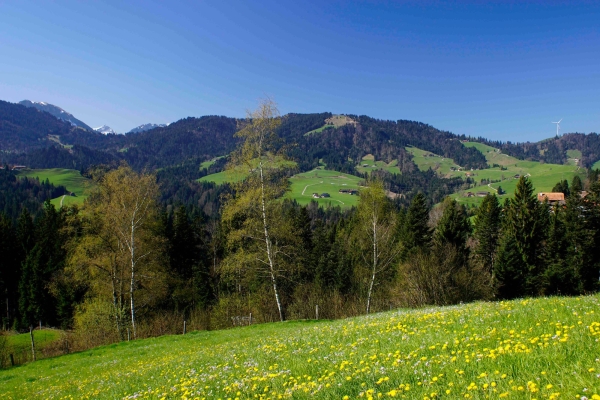 Zum Saisonstart mal auf 1'000 Meter