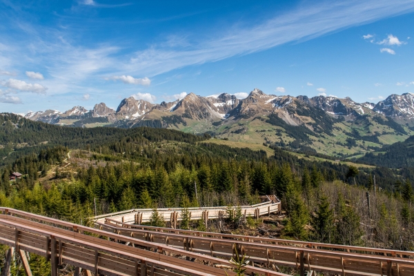 19. Gurnigelpass – Pfyffe – Riffenmatt