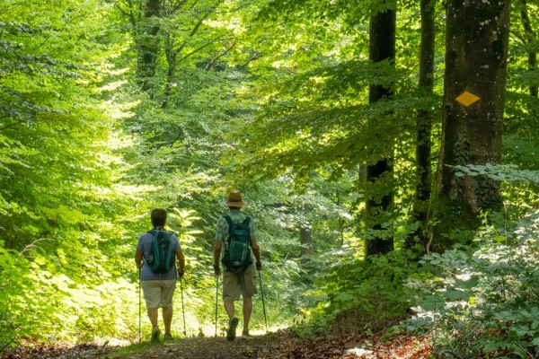 Auf Reptilien-Tour im Schenkenbergertal